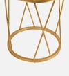 Opulent Metal Side Table in Gold Colour