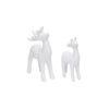 Aantir Showpiece - Set Of 2