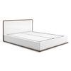 Baltoro Engineered Wood Queen Size Hydraulic Storage Bed In White Finish