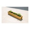 Wooden Slim Herb Planter with Divider Natural 90 cm