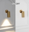 Ortega 18-Watt Outdoor Adjustable Wall Light In Brass Finish
