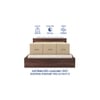 Styx Engineered Wood Queen  Size Bed With Box Storage (Walnut Finish)