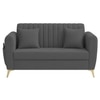 Daraco Velvet 2 Seater Sofa in Dark Grey Color