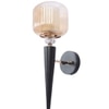 Eliante Mashal Wall Lights Mild Steel & Glass Material Brown & Clear Finish