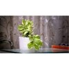 Linda White Marble Planter