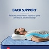 Kurlon DuoRest Essential 6 inch Single Bonded Foam Mattress (L x W: 75 inch x 35 inch)