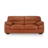 Hensley 2 seater Leatherette Sole in Tan Brown Colour