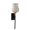 Devansh Metal Electric Wall Light in Black Colour with Multi Shade Count of 1 Light