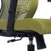 Ebeaony Mid Back Ergonomic Chair in Pearl Green Colour