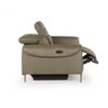 Splendor Two Seater Motorized Leather Recliner in Olive Green Colour