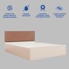 Tada Engineered Wood Queen  Size Bed With Hydraulic Storage (Melamine Finish, White Colour)