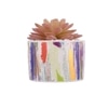 Sucullent Artificial Plant With Vertical Multicolored Stripes Along With Pot
