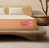 Usha Shriram 7-Zone AeroTalalay Latex Pocket Hybrid Single Size Mattress (Mattress Thickness: 6 Inches, Mattress Dimensions: 75 x 30 in)