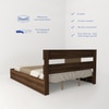 Salmacis Engineered Wood Queen  Size Bed Without Storage (Walnut Finish)