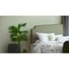 Pingala Engineered Wood Queen Size Bed In White Finish