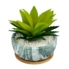 Artificial Aloe Vera Plant In A Patterned Ceramic Pot With A Wooden Plate