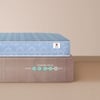 Sleepwell Ortho Mattress Medium Firm Orthopedic Support Resitec Foam Double 72x48x5 Inch