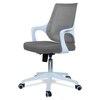 Xeanea Mid Back Ergonomic Chair in Grey Colour