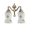 Devansh Metal Electric Wall Light in Multi Colour with Multi Shade Count of 2 Lights