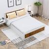 Hexa Engineered Wood Modern Queen Bed With Headboard With Storage In Frosty White And Giant Wood