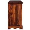 Rangrez Two Door Sheesham Wood Sideboard in Honey Oak Finish