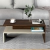 BLUEWUD Taurley Engineered Wood Coffee Center Sofa Tea/Teapoy Console Table for Sofa Set Living Room Home Hall (Brown Maple & Beige)