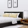 Hexa Engineered Wood Modern Queen Bed With Headboard Without Storage In Flower Wenge