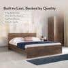 Zoey Engineered Wood Queen Size Bed In Classic Walnut Finish