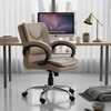 Adiko Stylish Low Back Workstation Chair