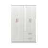 Ren 4 Door Engineered Wood Wardrobe in Silver Oak Finish