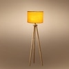 Devansh Tripod Floor Lamp