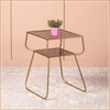 Contemporary Iron Side Table in  Finish - Set of 2