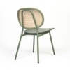 Mantis Veneer Dining Chair in Green Colour