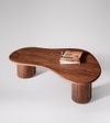 Hima Solid Wood Coffee Table In Dark Brown Finish