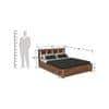 Sable Solid Wood Queen Box Storage Platform Bed In Provincial Teak Finish