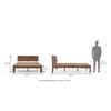 Boston Solid Wood King Size Non Storage Bed in Teak Finish