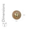 Maloto Amber Luster and Brass Finish Metal Wall Light