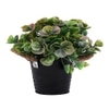 Artificial Green & Pink Eucalyptus Plant With A Rope Tied To Pot For Interior Decor