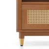Fiji Solid Wood and Cane Bedside Table in Amber Walnut Finish