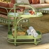 Dastoori Stainless Steel Outdoor Bar Trolley in Green Colour