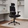 Merry Premium Ergonomic Office Chair High Back in Black Colour