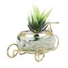 Aloe Vera Plant In Ceramic Pot On A Beautiful Cycle Cart