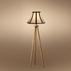 Devansh Tripod Floor Lamp