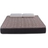 Repose Mattrix Affordable Bonnell Spring Mattress (L x W: 72 inch x 48 inch, Thickness 6 Inches )