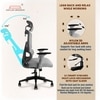 Imperia Ergonomic Study Chair in Grey Colour