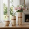 Modern Decorative Tabletop Vase Set for Living Room