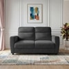 Alvaro Velvet 2 Seater Sofa Dark Grey Color
