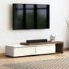 Bayern Engineered Wood 75 Inch TV Unit in Danish Walnut Finish