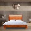 Stylona Solid Wood Non Storage Bed In Provincial Teak Finish
