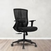 Regalia Mid Back Mesh Office Chair in Black Colour